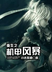 重生之机甲风暴